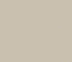 CANTO PVC TIDAL SAND 22mm X 1m ## C148-34 ## GREENLAM