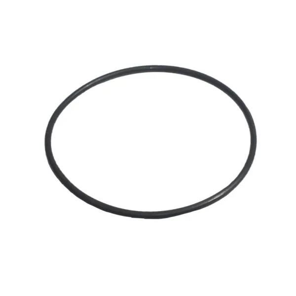 O-RING P/BOMBAS CP620/CP158 ## 60-ORING620 ## PEDROLLO