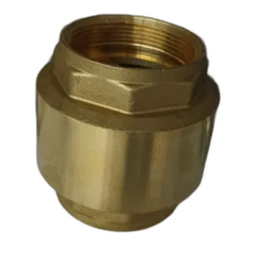 VALVULA CHECK 2" - FP  ## 01K120 ##