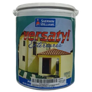 239/640/01 PINTURA PLAST GRIS CEMENTO 1G VERSATYL EXT MATE - SHW