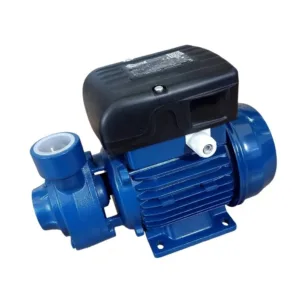 BOMBA P/AGUA 3/4" HP PERIFERICA 110V 60HZ S/ENCHUFE## PM65 ## PENTAX