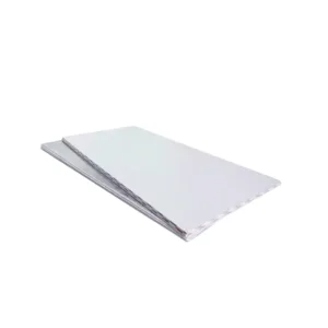 LAMINA CIELO RASO 1/4 X 0,61 X 1,22m BLANCO LISO